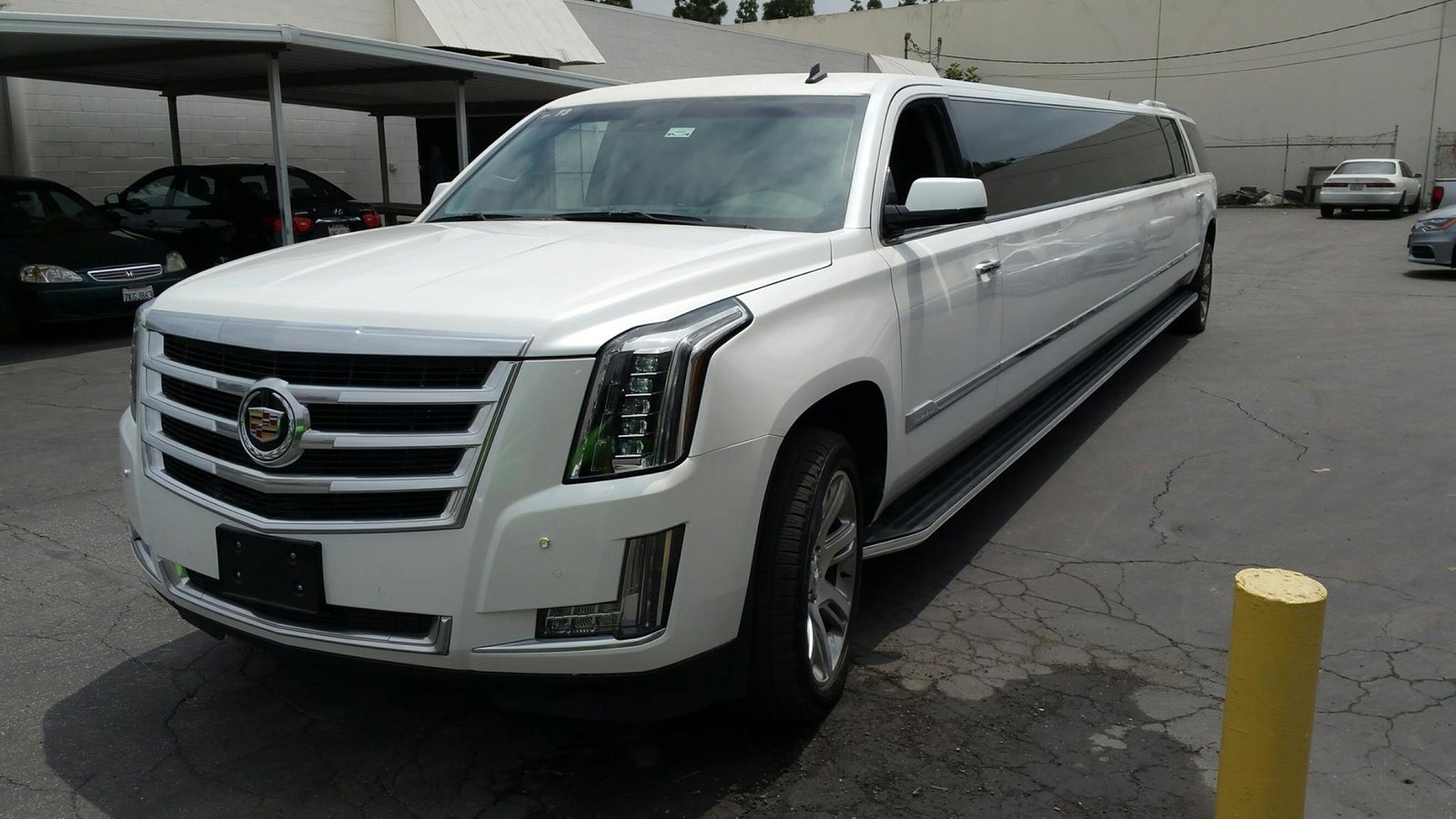 13247851_1151889848183956_4123401151579769893_o